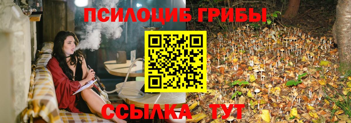 Псилоцибиновые грибы Magic Shrooms  Вход с VPN  Карпинск 
